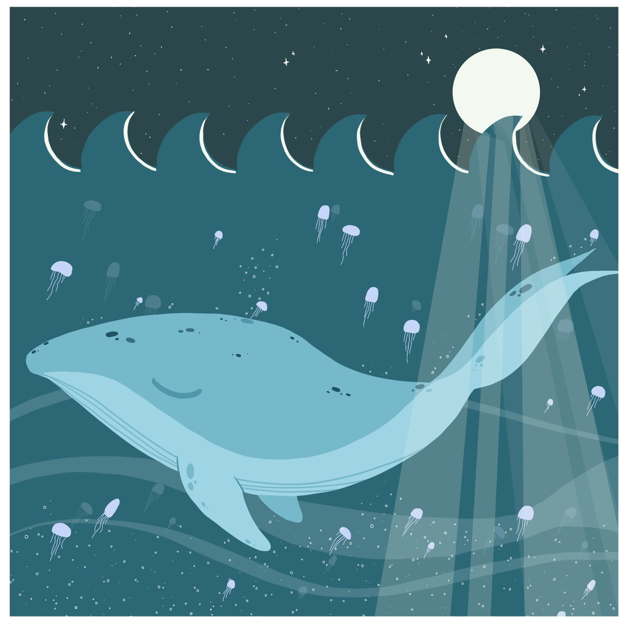 Baleine